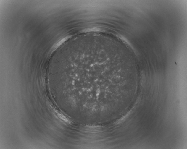 X0000078020921200611101843