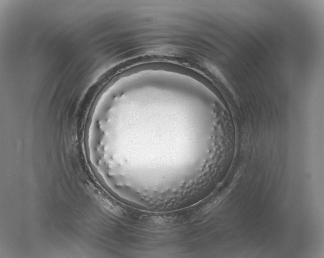 X0000078020923200611101843