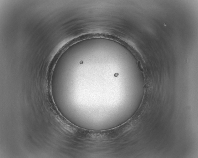 X0000078020927200611101843