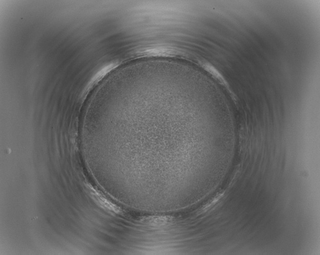 X0000078020930200611101843