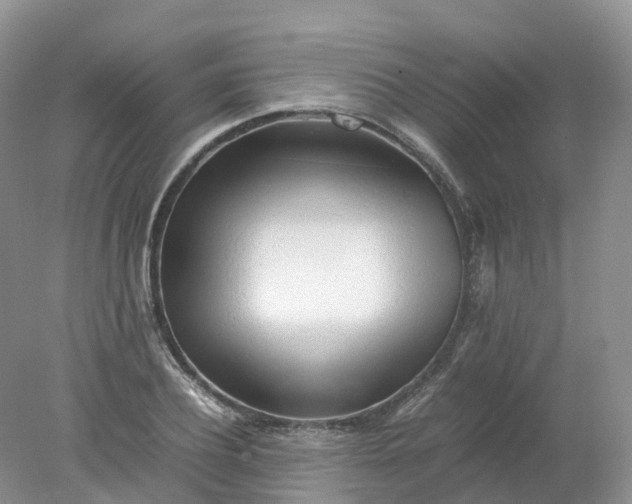 X0000078020932200611101843