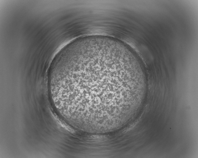 X0000078020933200611101843