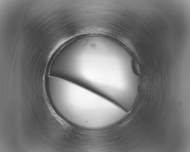 X0000078020936200611101843