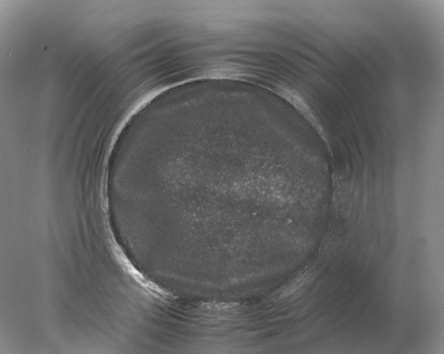 X0000078020939200611101843