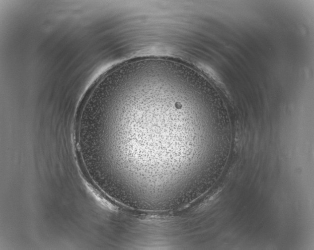 X0000078020942200611101843