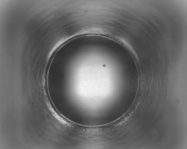 X0000078020944200611101843