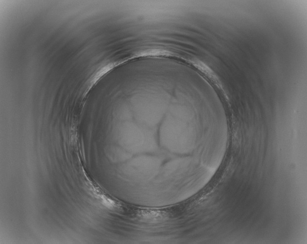 X0000078020945200611101843