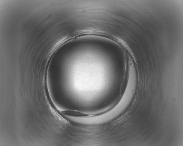 X0000078020946200611101843