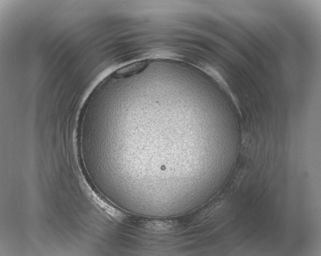 X0000078020947200611101843