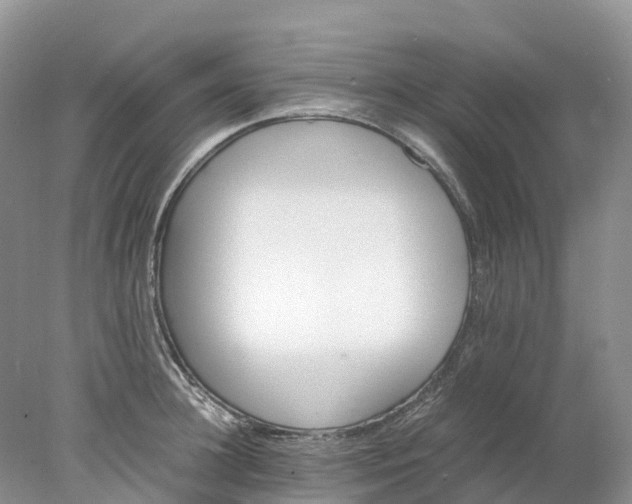 X0000078020948200611101843