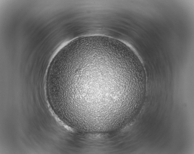 X0000078020949200611101843