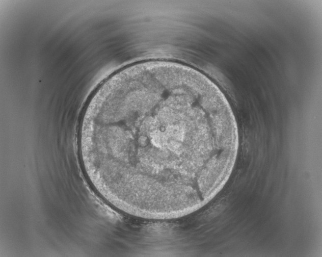 X0000078020950200611101843