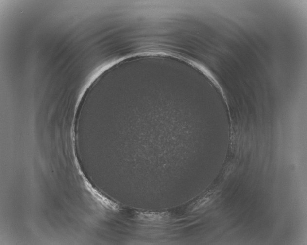 X0000078020951200611101843