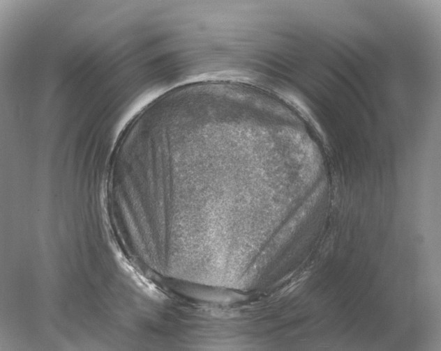 X0000078020952200611101843