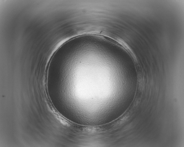 X0000078020956200611101843