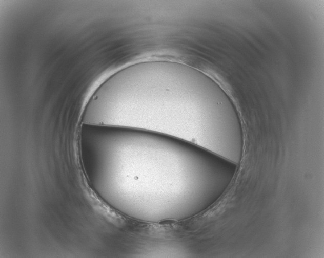 X0000078020960200611101843