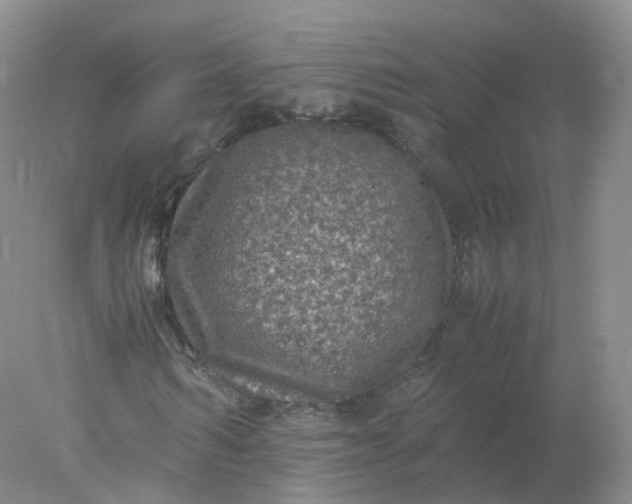 X0000078020962200611101843