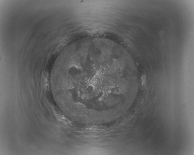 X0000078020963200611101842