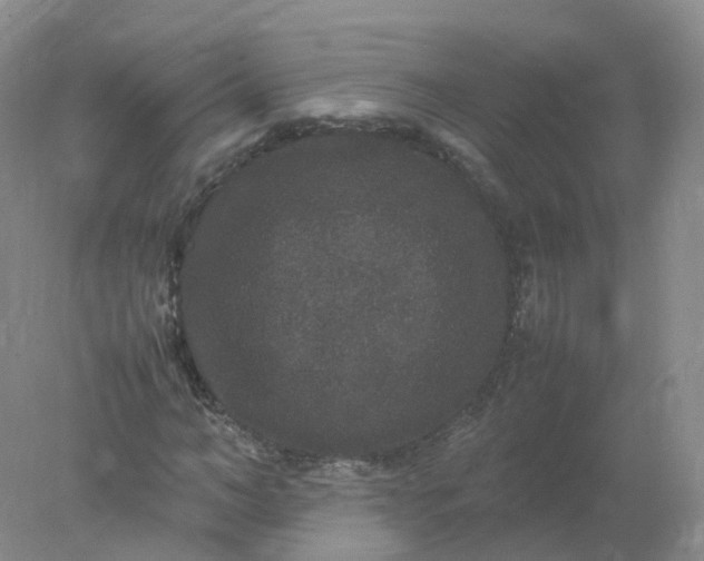 X0000078020966200611101842