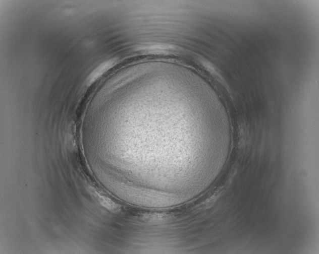 X0000078020970200611101842