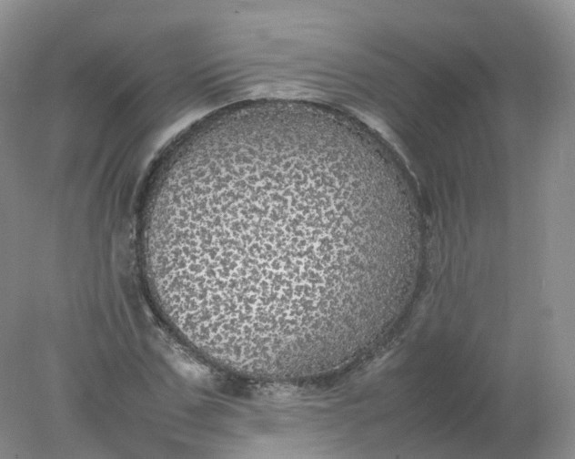 X0000078020971200611101842