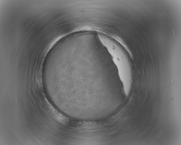 X0000078020972200611101842