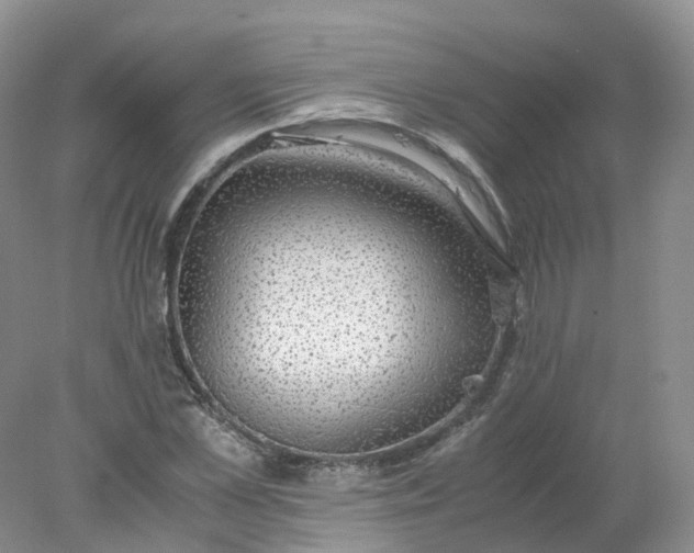 X0000078020973200611101842