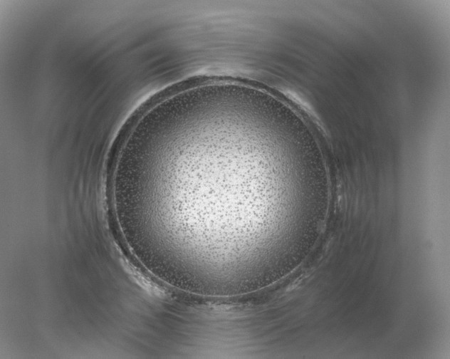 X0000078020976200611101842