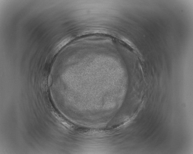 X0000078020977200611101842