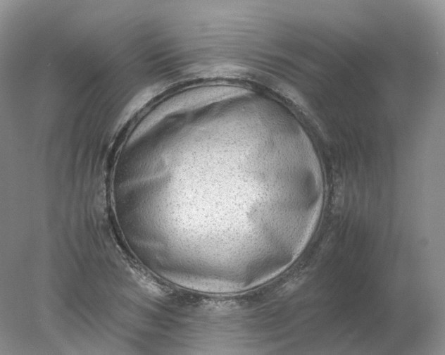 X0000078020978200611101842