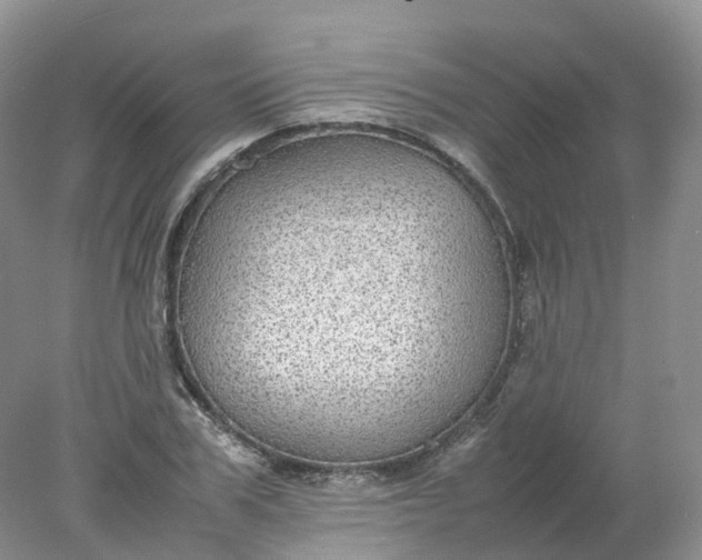 X0000078020979200611101842