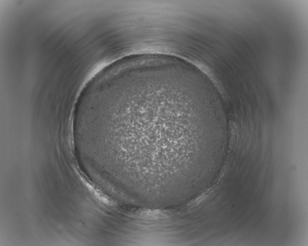 X0000078020982200611101842