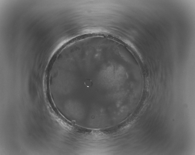 X0000078020983200611101842