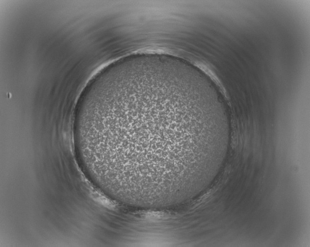 X0000078020984200611101842