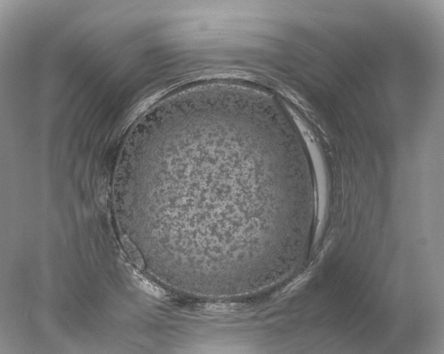 X0000078020985200611101842