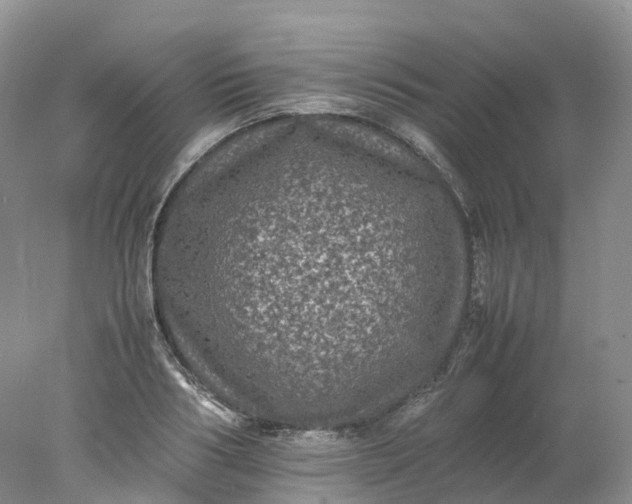 X0000078020986200611101842