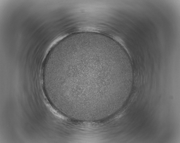 X0000078020987200611101842