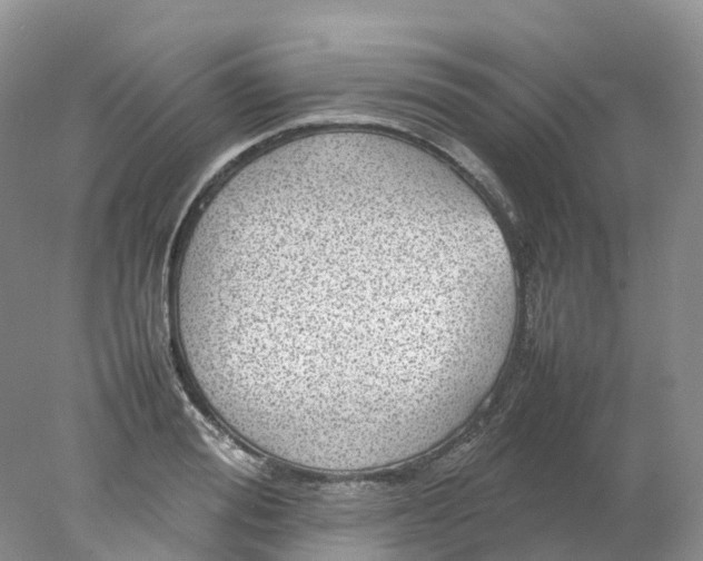 X0000078020988200611101842