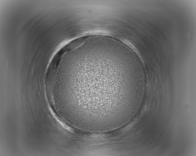 X0000078020989200611101842