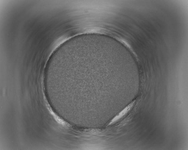 X0000078020991200611101842