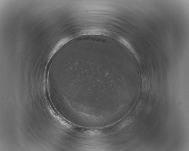 X0000078020994200611101842