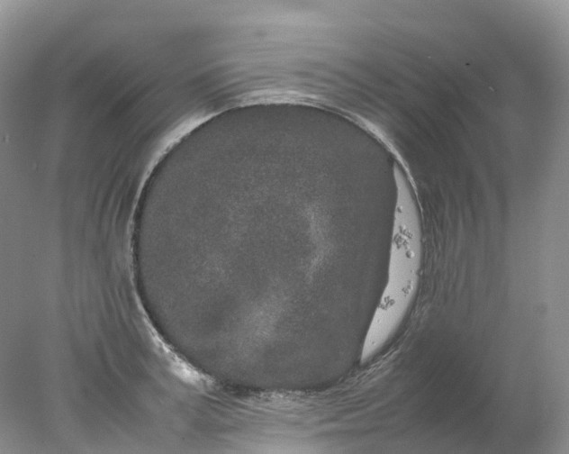 X0000078020995200611101842