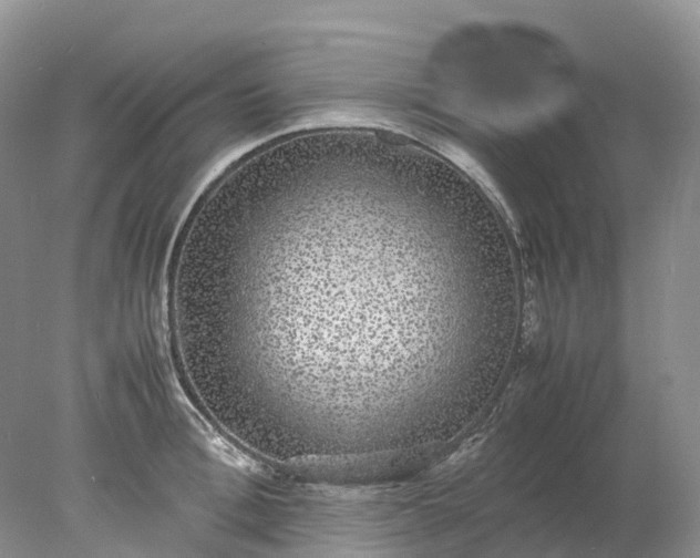 X0000078020996200611101842