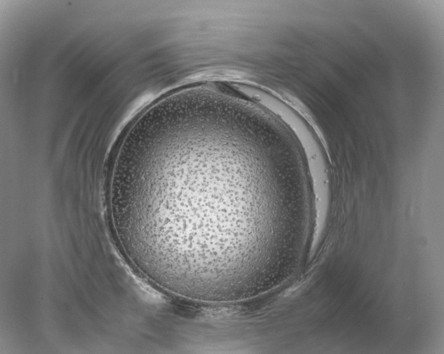 X0000078020997200611101842