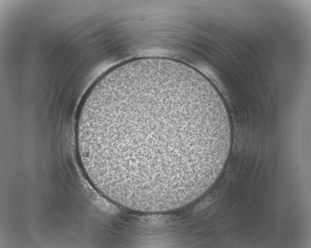 X0000078021000200611101842