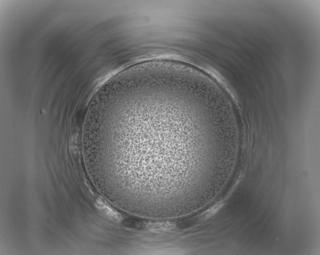 X0000078021001200611101842