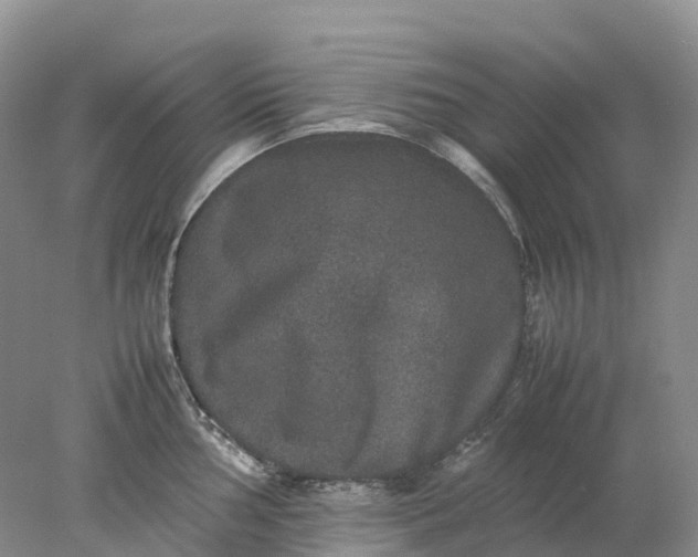 X0000078021002200611101842