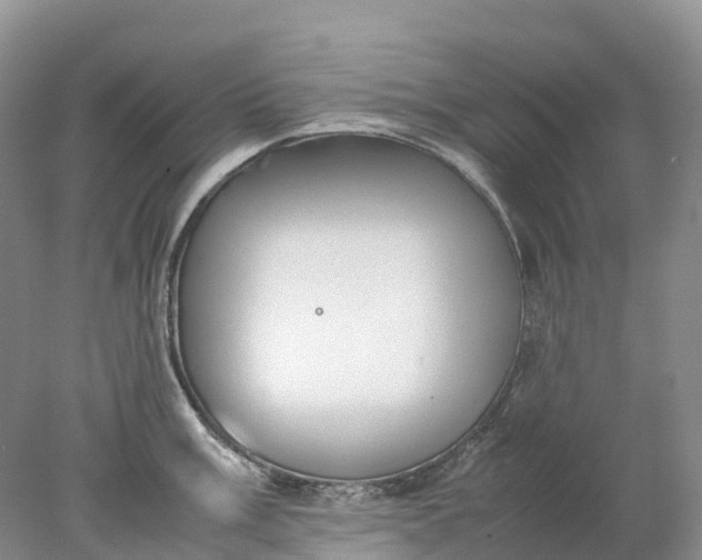 X0000078021003200611101842