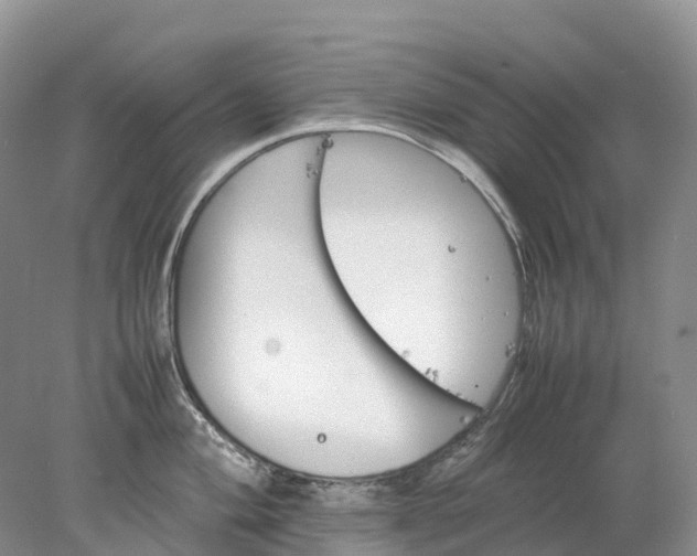 X0000078021004200611101842