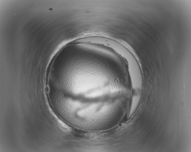 X0000078021005200611101842